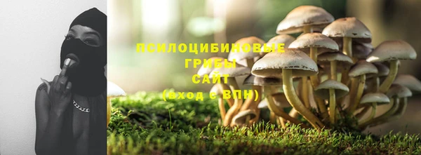 бутират Елабуга