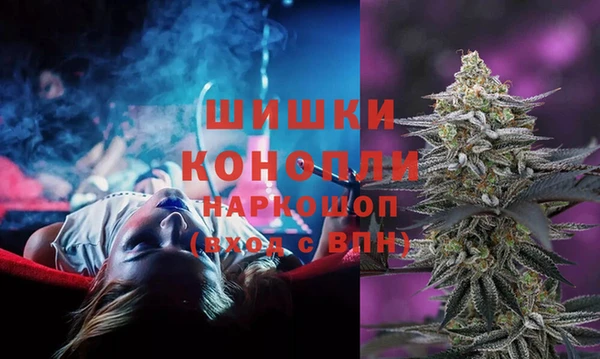 гидропоника Ельня