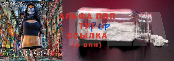гидропоника Ельня
