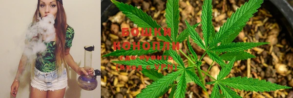 бутират Елабуга