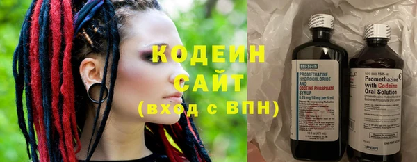 крисы Дмитриев