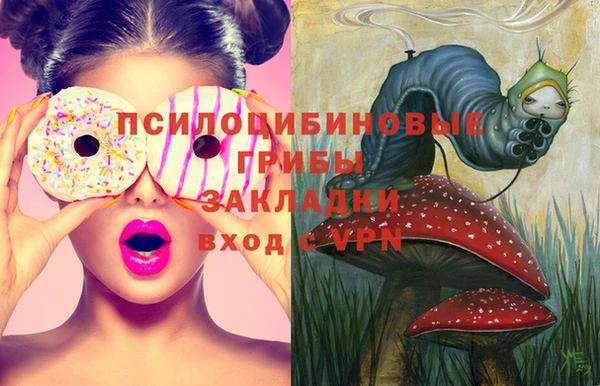 синтетический гашиш Дмитровск