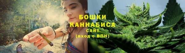 бутират Елабуга