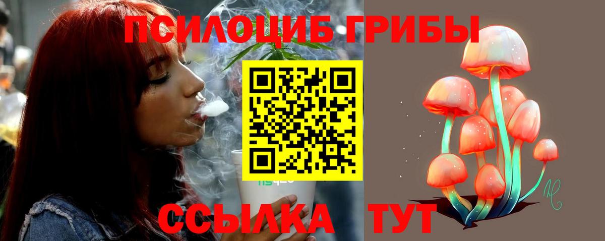 Псилоцибиновые грибы Psilocybine cubensis  Вход с VPN  Арзамас 